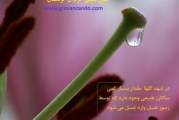 آیا هر عسلی با ساکارز زیر پنج طبیعی است؟