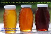 چرا رنگ عسل ها با هم متفاوت هستند؟!