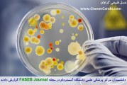 ۶ خاصیت عسل طبیعی که حتما باید بدانید ؟