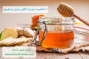 ۱۱ خاصیت حیرت انگیز عسل و زنجبیل را باید بدانید؟