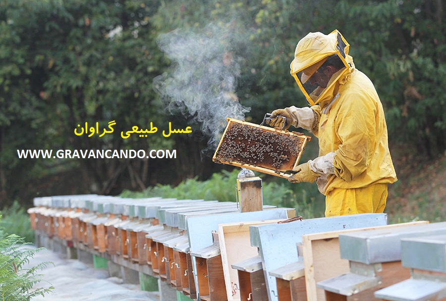 خرید عسل طبیعی از زنبوردار