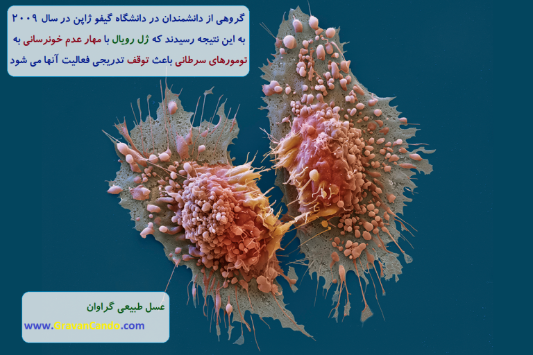 ژله رویال , معجزه ای برای درمان همه سرطان ها...