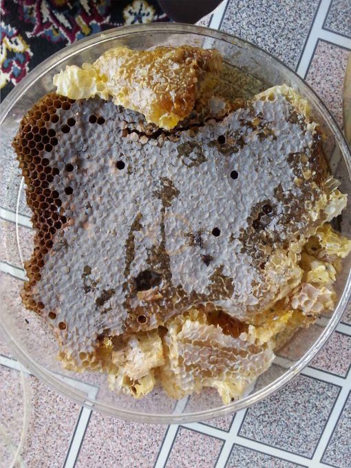 عسل وحشی درختی گراوان – 1 کیلو گرم