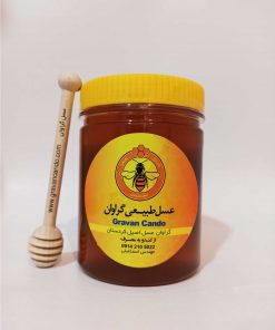 عسل طبیعی چهل گیاه گراوان - 1 کیلو گرم