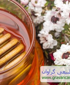 فروش عسل مانوکا در تهران