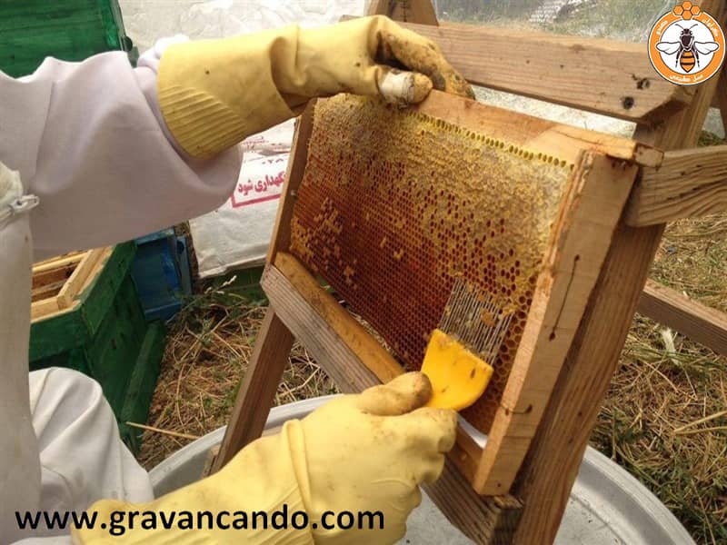 پرورش زنبور عسل سنتی قدیمی میان اسپانیایی ها