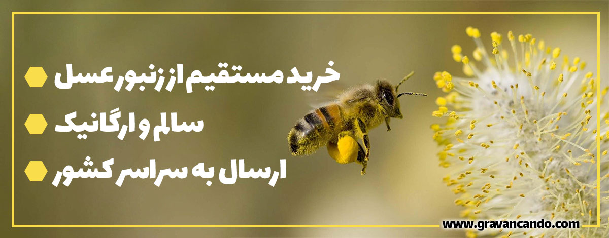 عسل طبیعی گراوان کندو